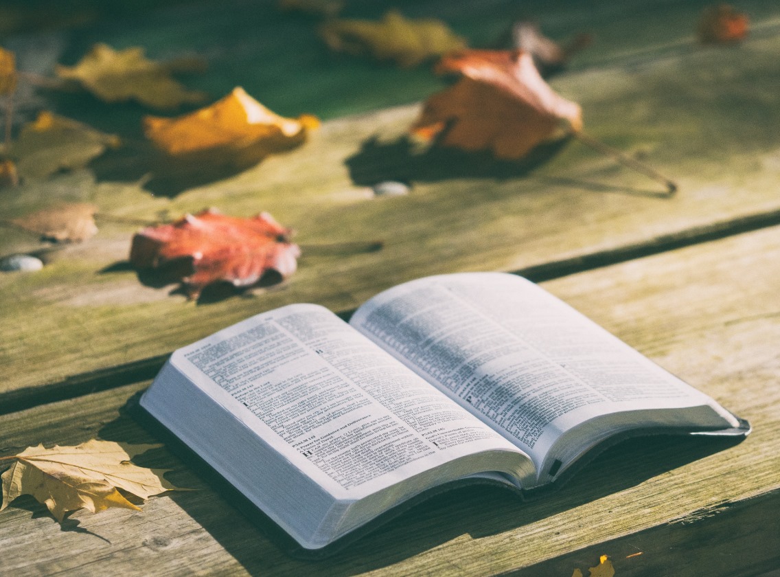 Historic church life and heritage at Bookton Presbyterian Church